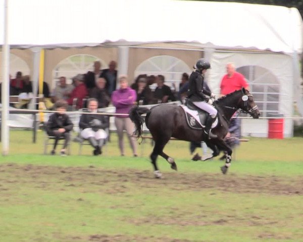 Reitturnier Hanerau-Hademarschen 2020