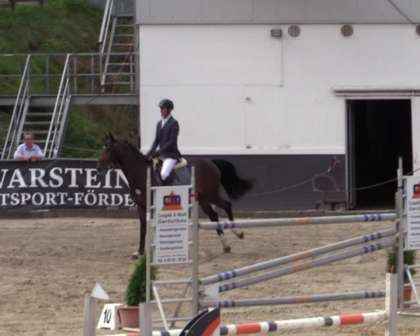 Reitturnier Siegen 2020