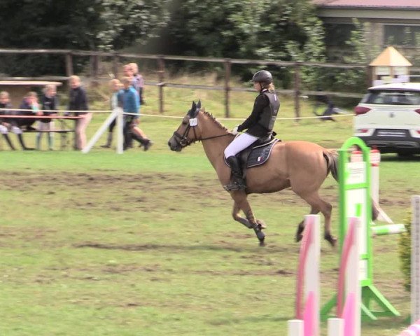 Reitturnier Hanerau-Hademarschen 2020