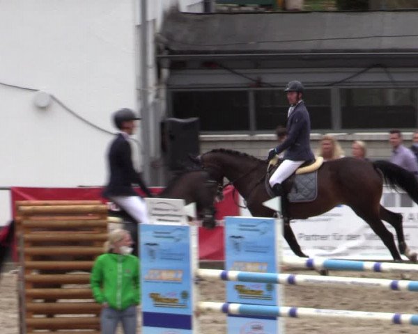 Reitturnier Siegen 2020