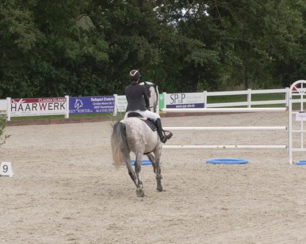Reitturnier Öpfingen 2020