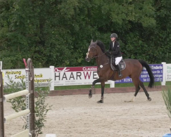 Reitturnier Öpfingen 2020