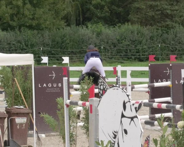 Reitturnier Öpfingen 2020