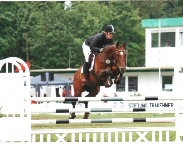 broodmare Paruna (Trakehner, 2001, from Graziello)