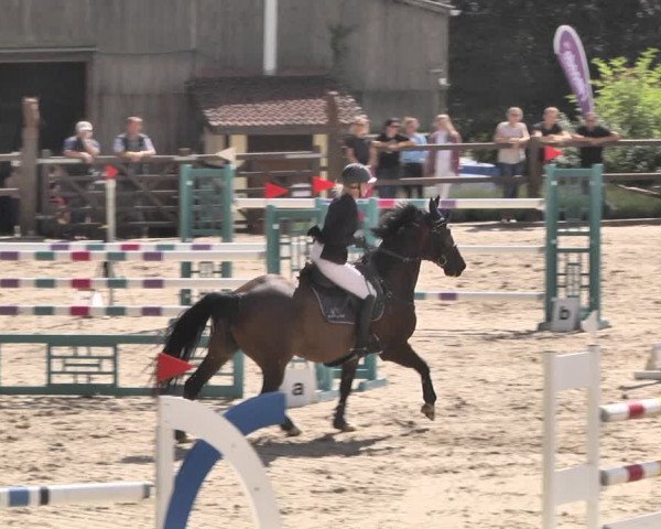 Reitturnier Bübinger Hof 2020
