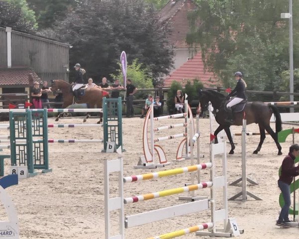 Reitturnier Bübinger Hof 2020