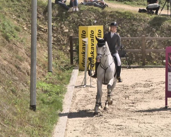 Reitturnier Bübinger Hof 2020