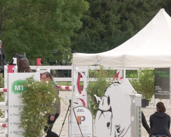 Reitturnier Öpfingen 2020