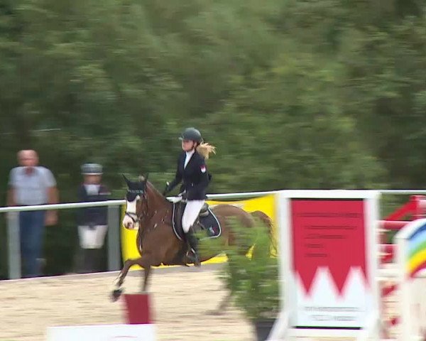 Reitturnier Ansbach/Mfr. 2020
