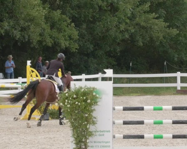 Reitturnier Öpfingen 2020