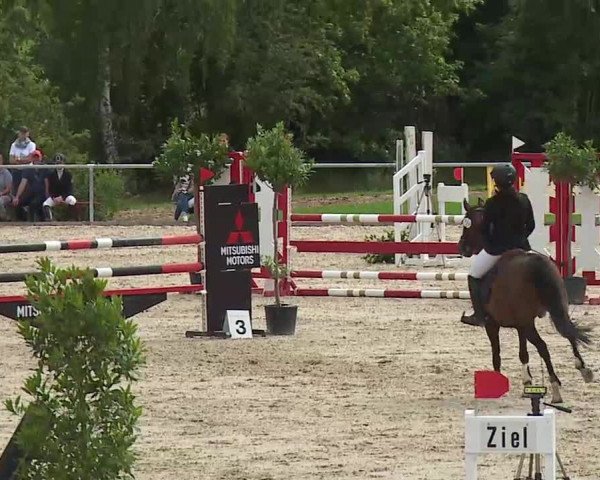 Reitturnier Ansbach/Mfr. 2020