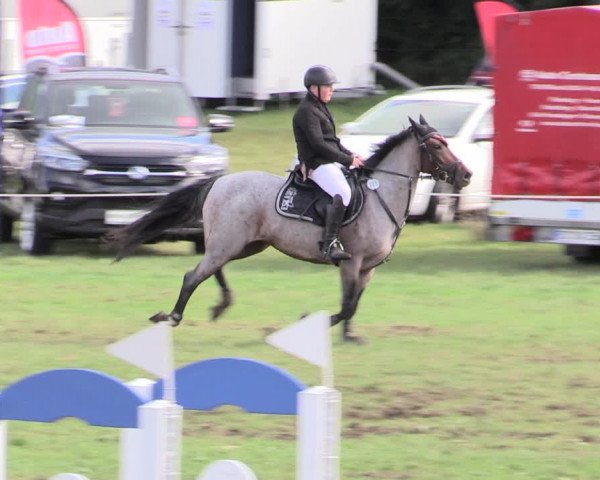 Reitturnier Hanerau-Hademarschen 2020