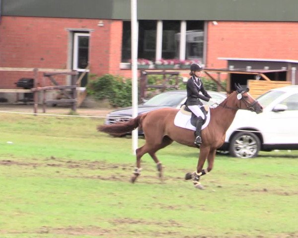 Reitturnier Hanerau-Hademarschen 2020