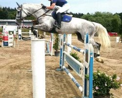 jumper Yana 4 (Holsteiner, 2007, from Contender)