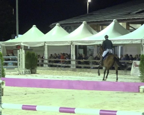Reitturnier Balsthal 2020