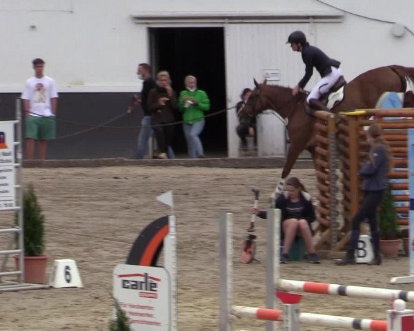 Reitturnier Siegen 2020
