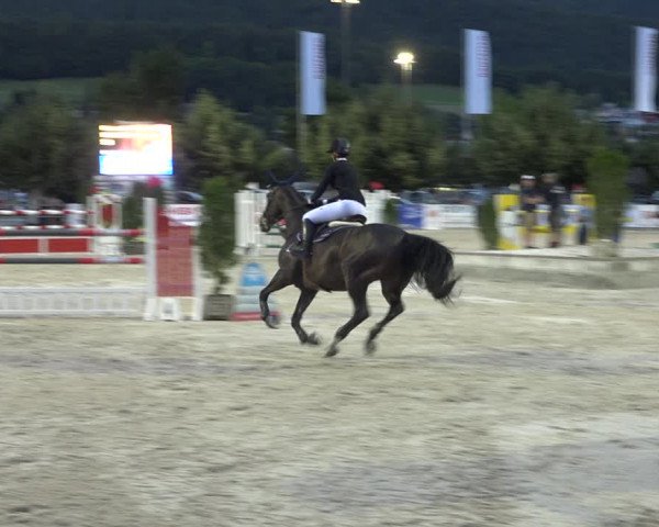 Reitturnier Balsthal 2020