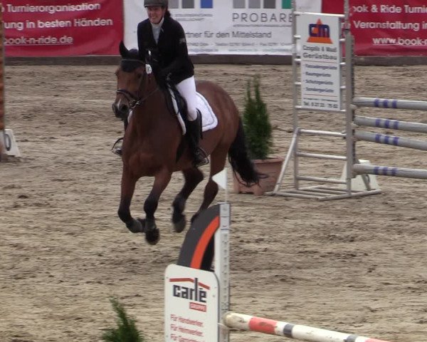 Reitturnier Siegen 2020