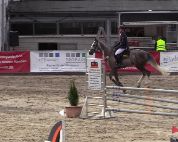 Reitturnier Siegen 2020