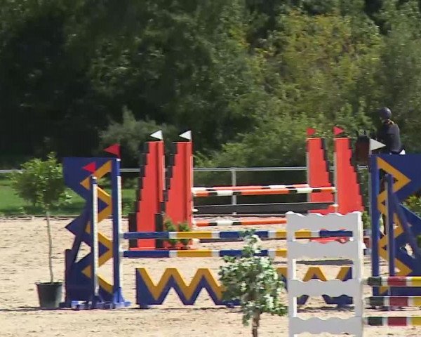 Reitturnier Ansbach/Mfr. 2020