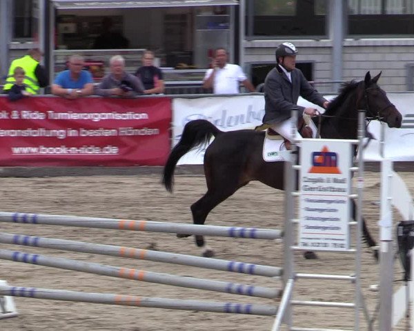 Reitturnier Siegen 2020