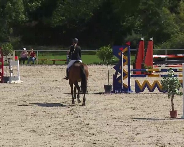Reitturnier Ansbach/Mfr. 2020