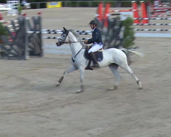 Reitturnier Ansbach/Mfr. 2020