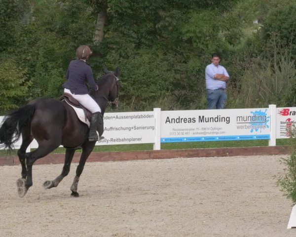 Reitturnier Öpfingen 2020
