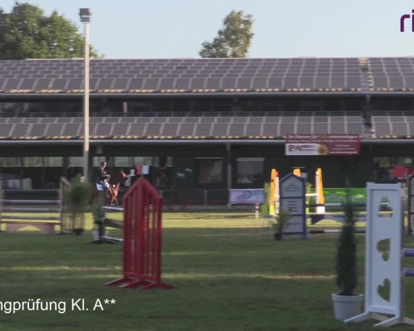 Reitturnier Heiden 2020