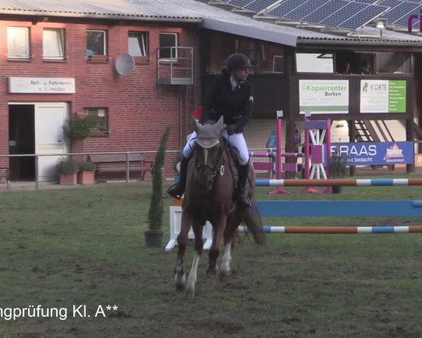 Reitturnier Heiden 2020