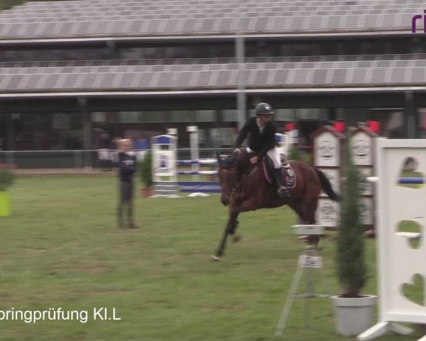 Reitturnier Heiden 2020