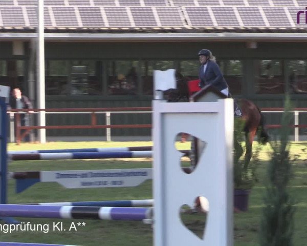 Reitturnier Heiden 2020