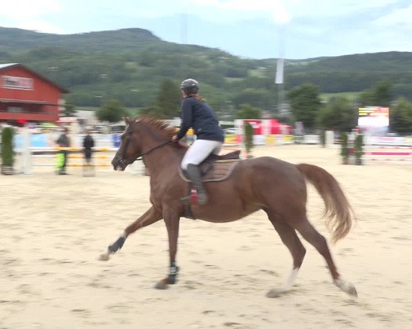 Reitturnier Balsthal 2020
