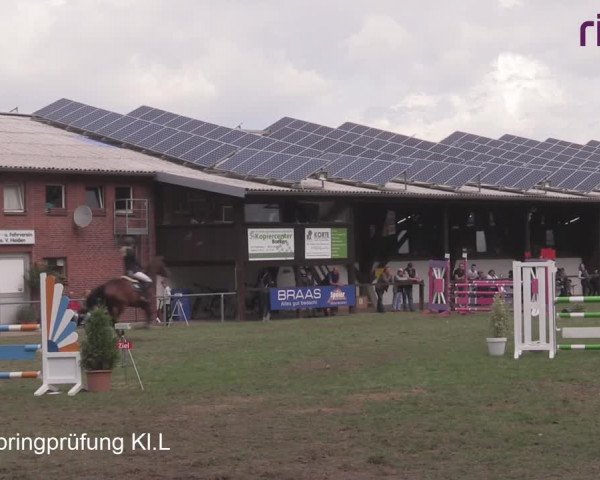 Reitturnier Heiden 2020