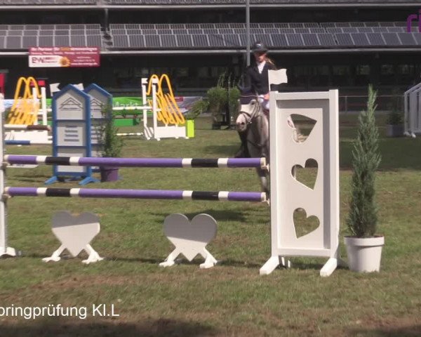 Reitturnier Heiden 2020
