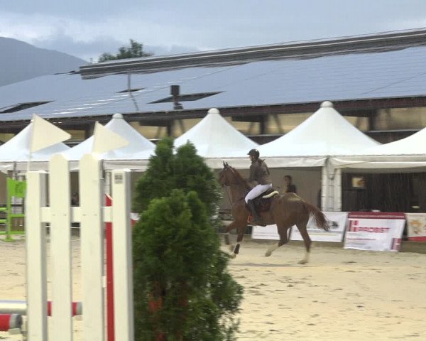 Reitturnier Balsthal 2020
