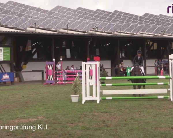 Reitturnier Heiden 2020