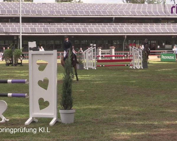 Reitturnier Heiden 2020