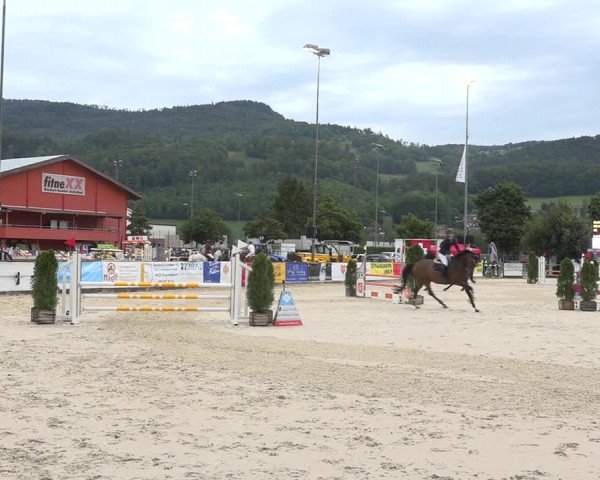 Reitturnier Balsthal 2020