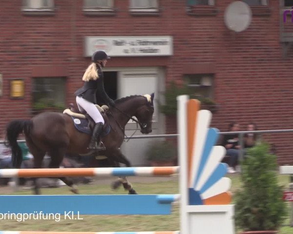 Reitturnier Heiden 2020