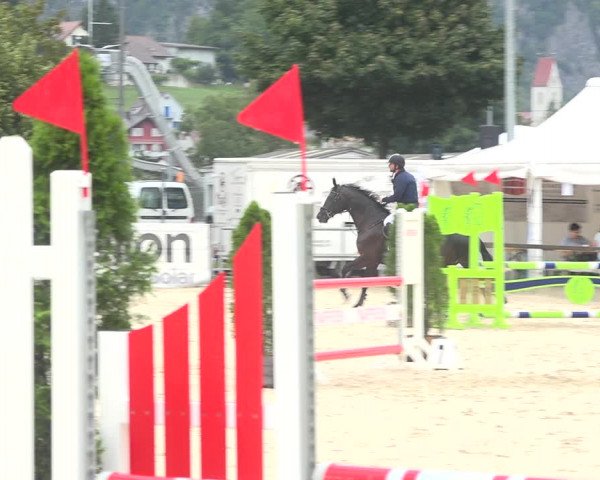 Reitturnier Balsthal 2020
