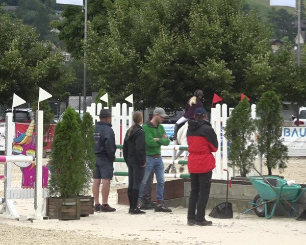 Reitturnier Balsthal 2020