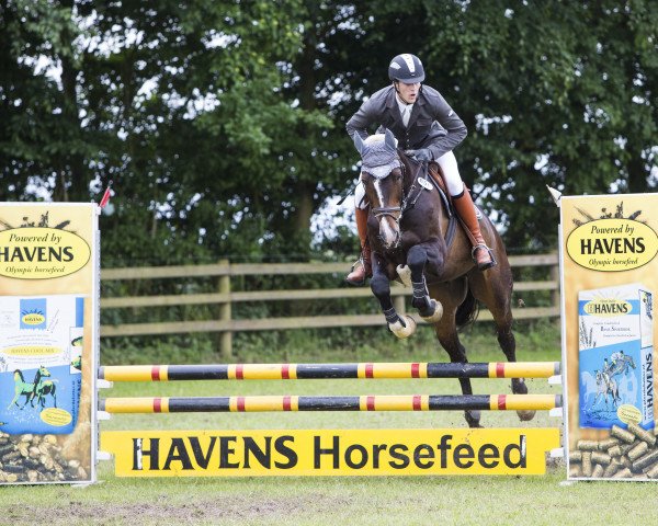 jumper courville (Hungarian Warmblood, 2004)