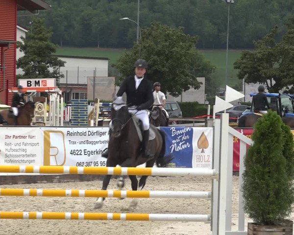 Reitturnier Balsthal 2020