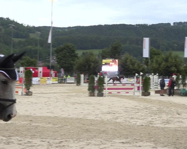Reitturnier Balsthal 2020