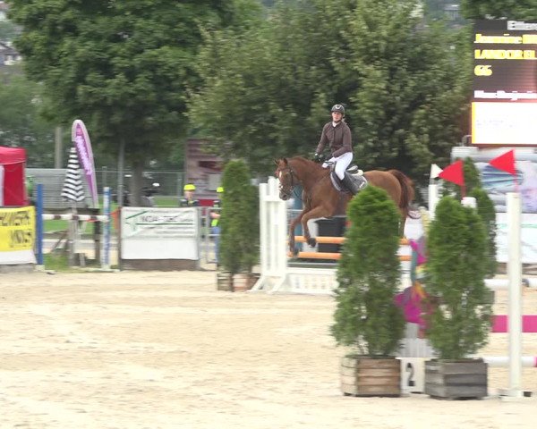 Reitturnier Balsthal 2020