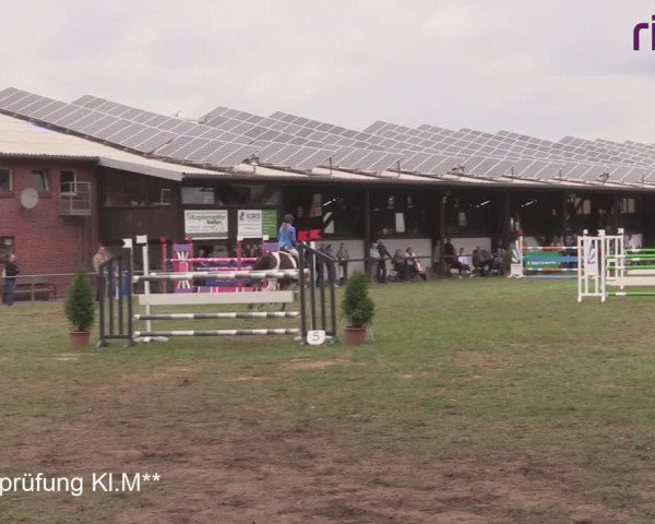 Reitturnier Heiden 2020