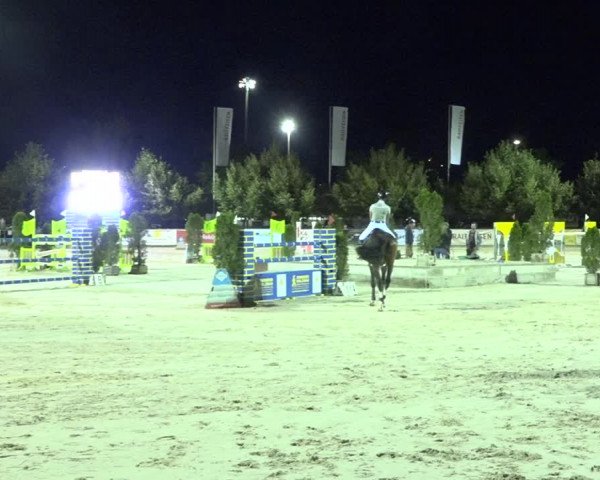 Reitturnier Balsthal 2020