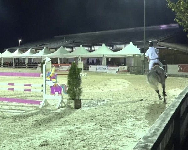 Reitturnier Balsthal 2020