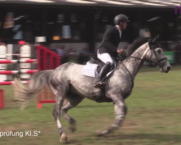 Reitturnier Heiden 2020
